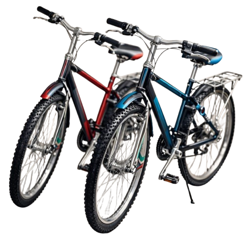 Bishop Bikes - Premium bicycle 4